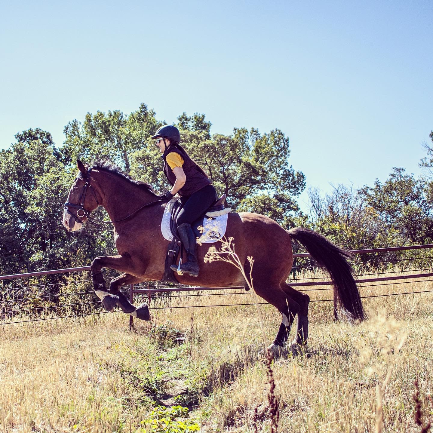 Sijae with Archie outdoors